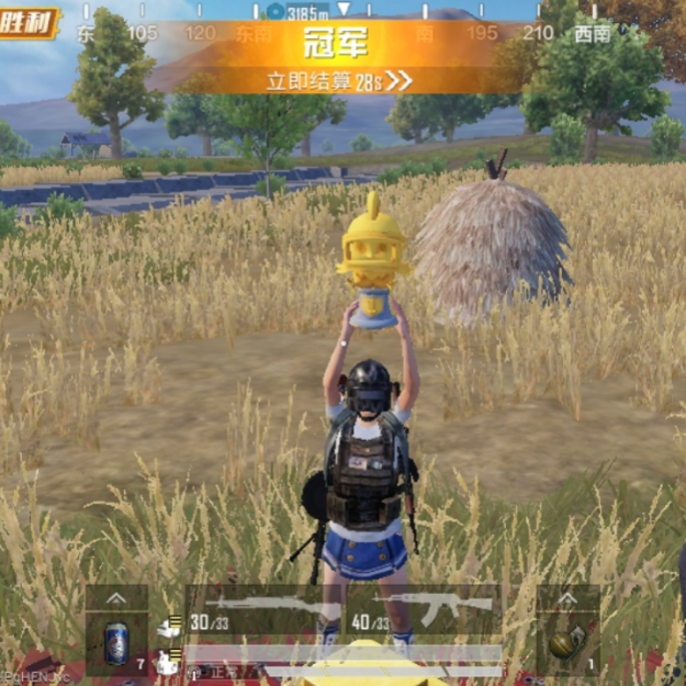 王和*精英呀！