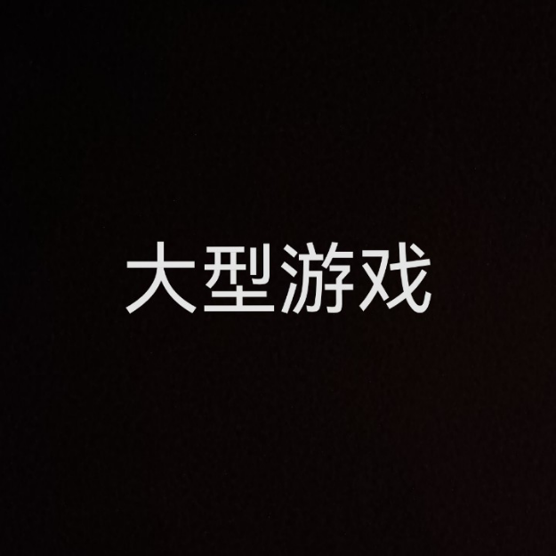 大型电脑游戏！