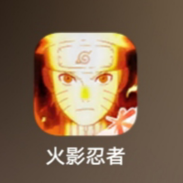 木叶飞舞之处，火亦生生不息！这就是火之意
