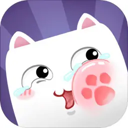 猫多米诺:打脸的艺术