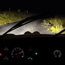 无尽夜行
