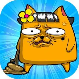 养猫