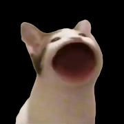 pop猫