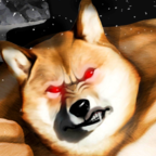 肌肉柴犬(后室狗)