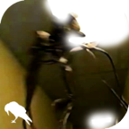 后室(后世)