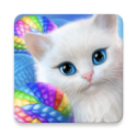 可爱的小猫