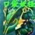口袋妖怪-最强进化