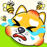 保护狗狗