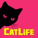 猫生活