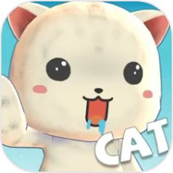 猫咪训练计划