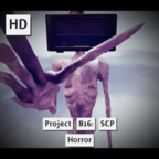 SCP：816