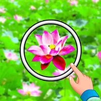 找出来 - 隐藏的花朵