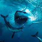 Megalodon模拟器