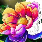 按编号绘制