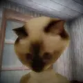 恐怖猫猫头