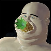 请不要喂我