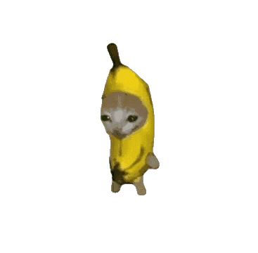 比比拉布桌宠