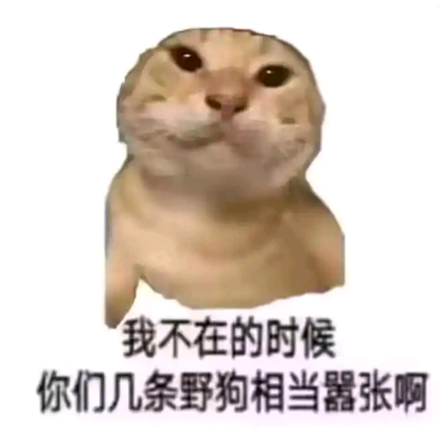 基米斗模拟器