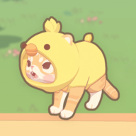 窗外的猫