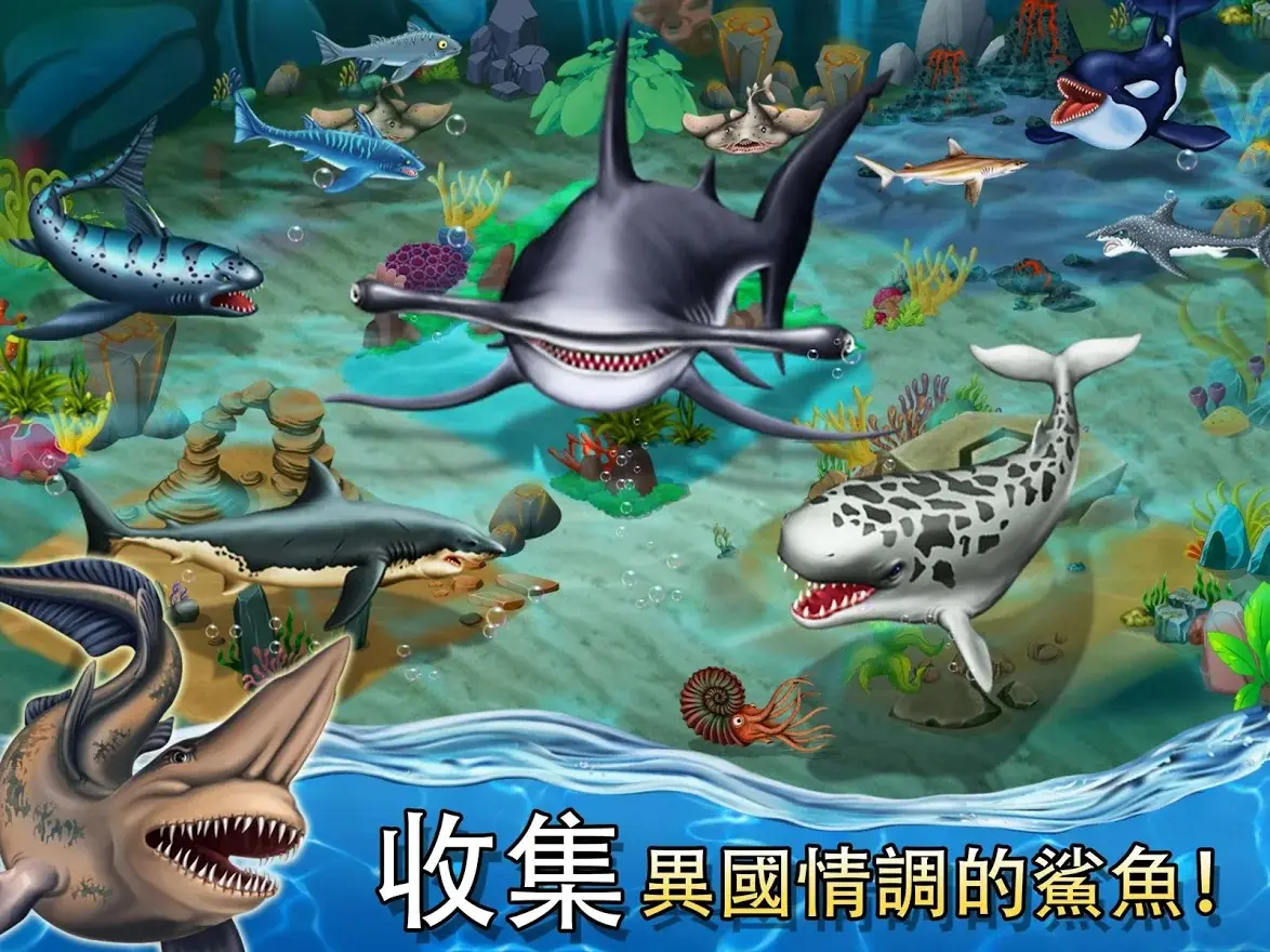 鲨鱼世界