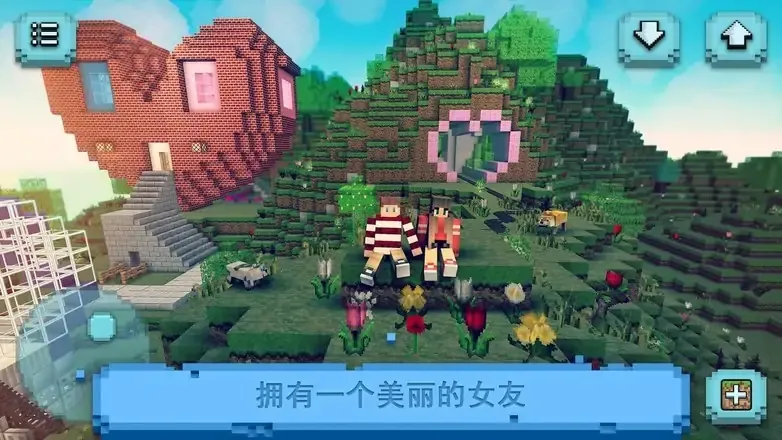 我的方块女友