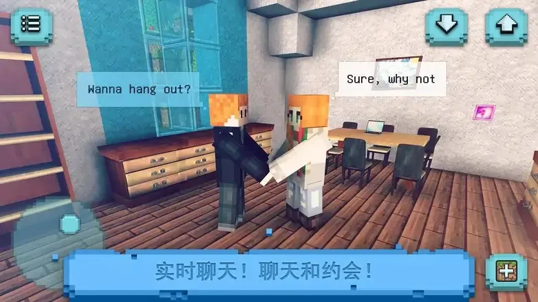我的方块女友
