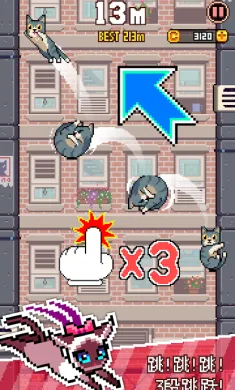 猫跳
