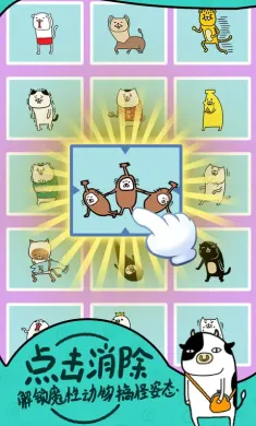 熊猫和狗?狗狗真的好可爱呀