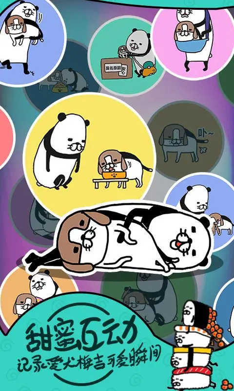 熊猫和狗?狗狗真的好可爱呀