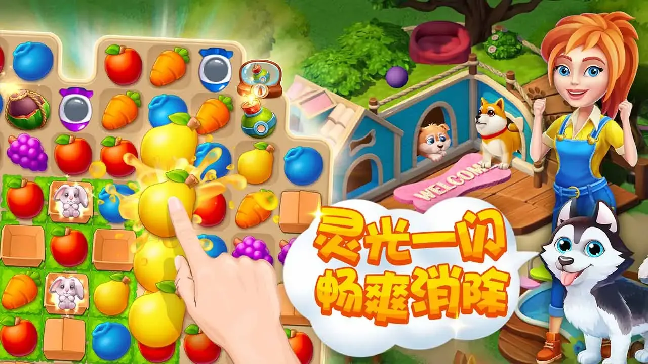 梦幻动物园