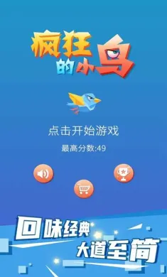 疯狂的小鸟