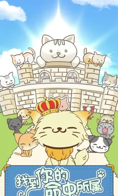 猫咪的毛