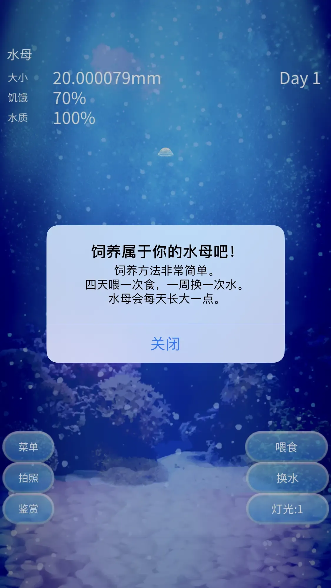 养育水母的治愈游戏