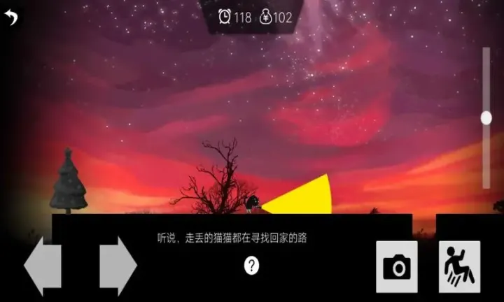 影子的游戏