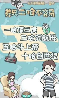 养只二哈不容易