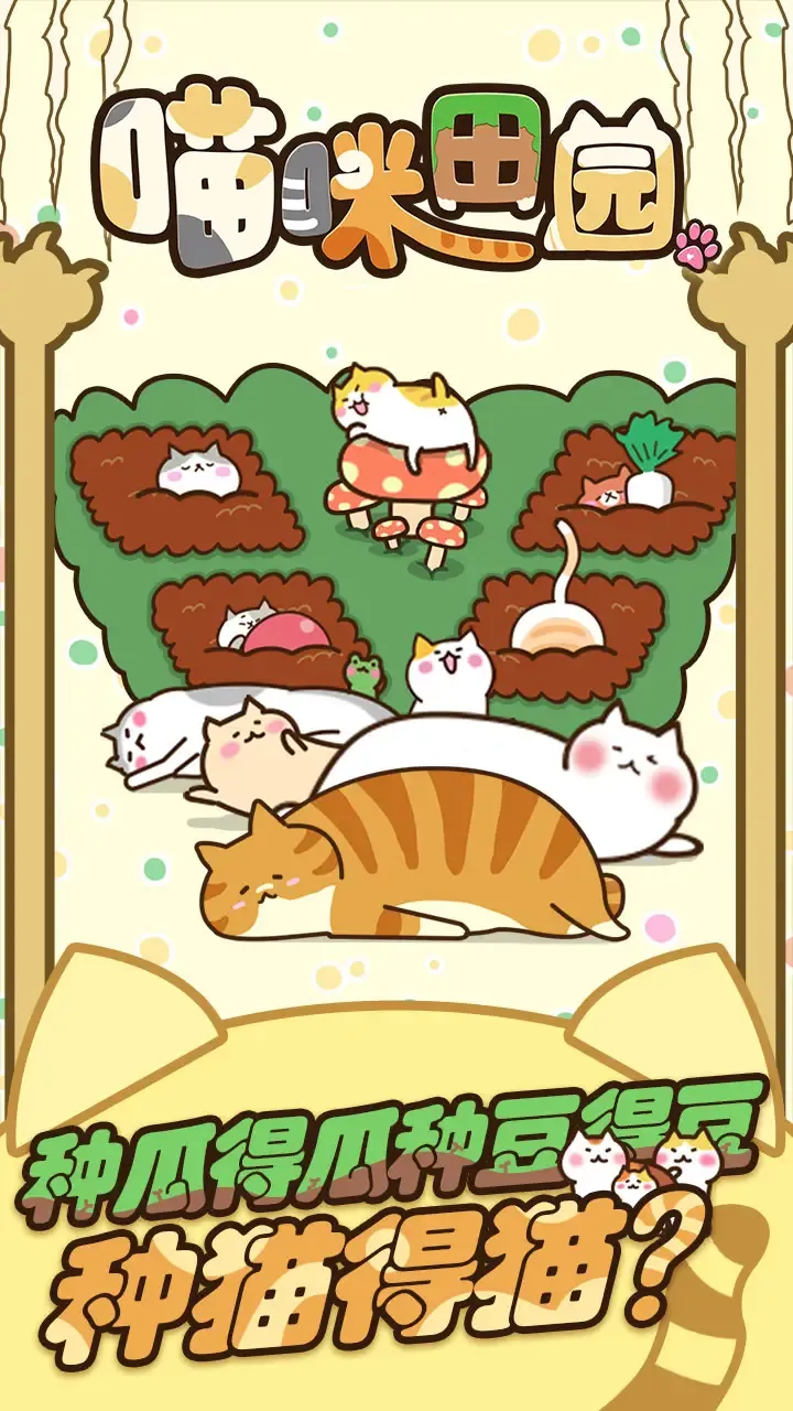 猫咪田园 猫咪田园