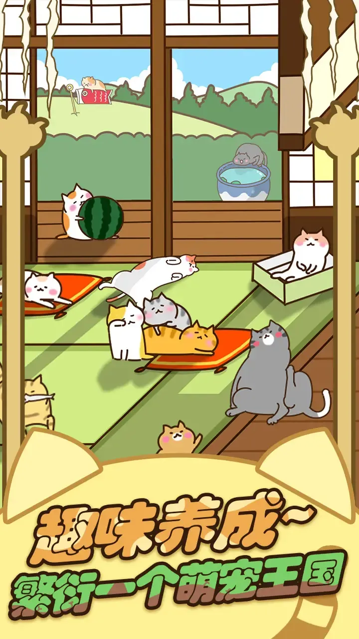 猫咪田园 猫咪田园