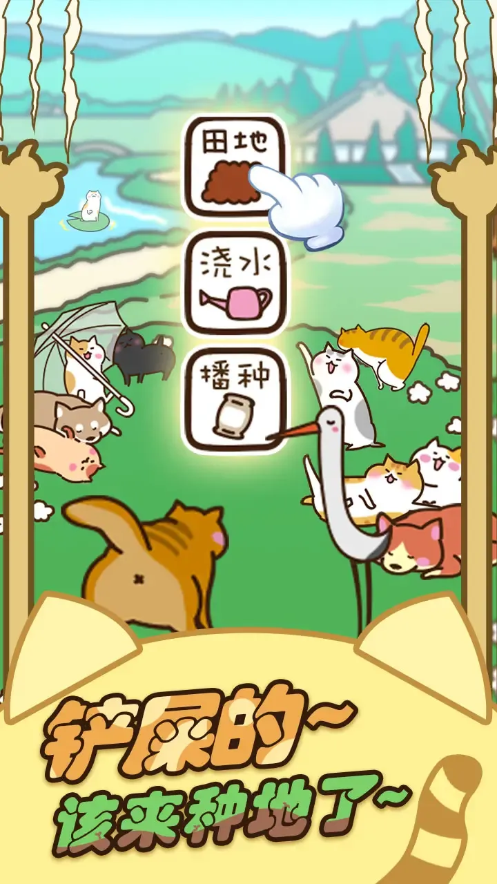 猫咪田园 猫咪田园