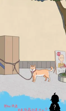 我的女朋友不见了