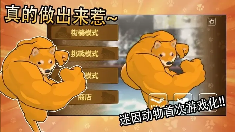 动物之战(抖音包包君推荐)