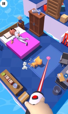 激光逗猫