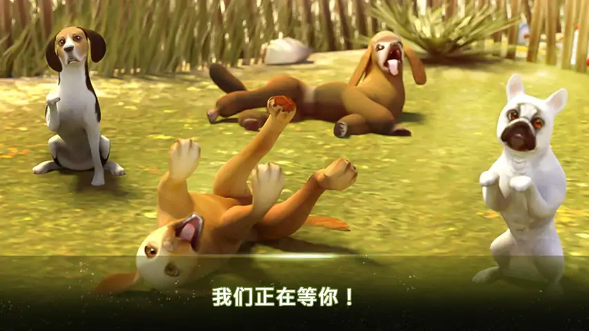 我的寄宿狗屋汉化版