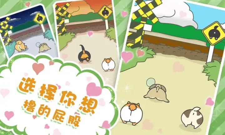 狗狗的屁股
