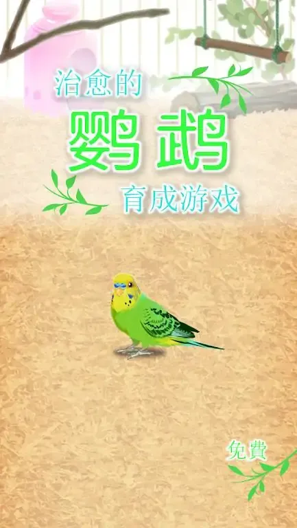 治愈的鹦鹉育成游戏