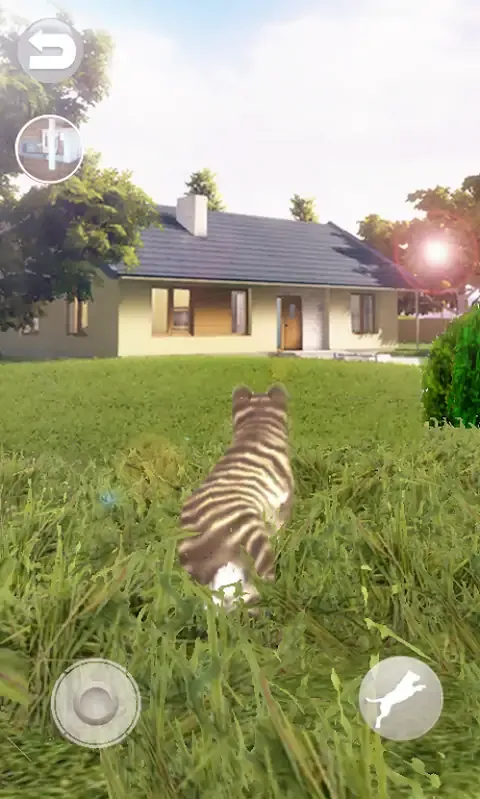 会说话的猫好笑