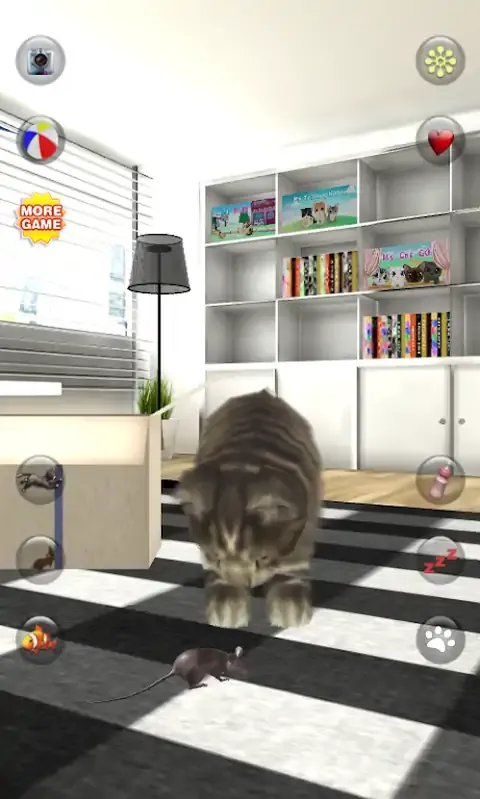 会说话的猫好笑
