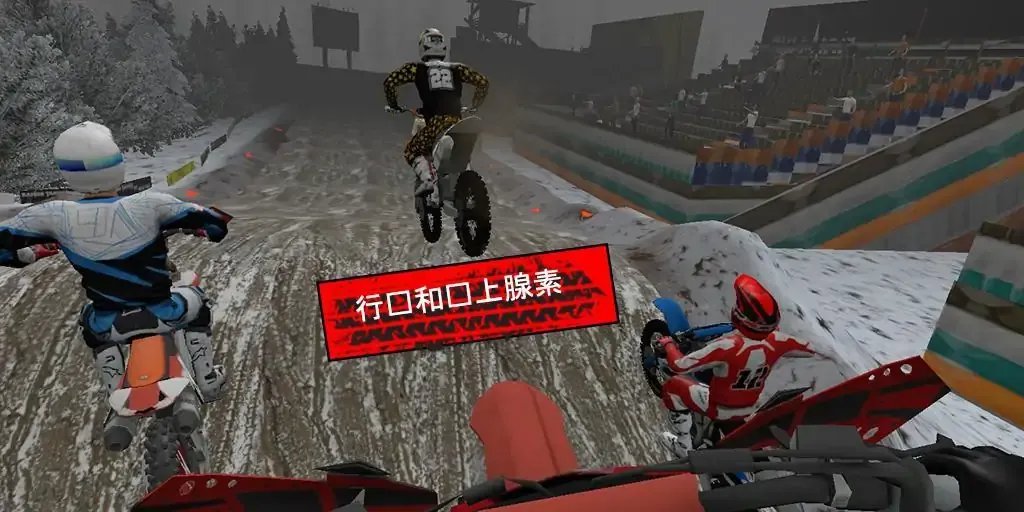 MTXGP公司 MTXGP公司