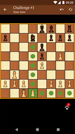 象棋 象棋