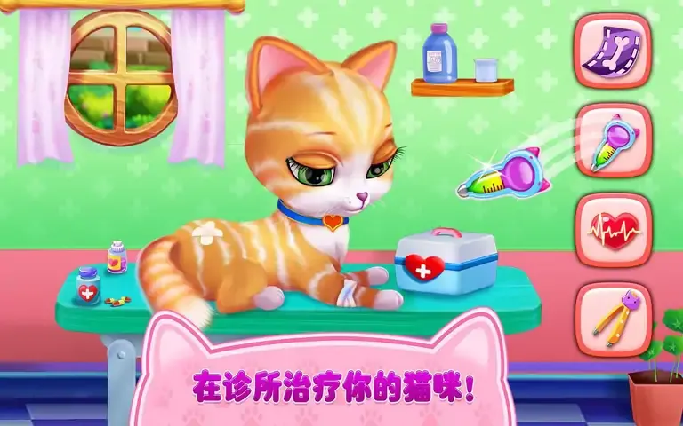 猫咪之恋——我毛茸茸的朋友