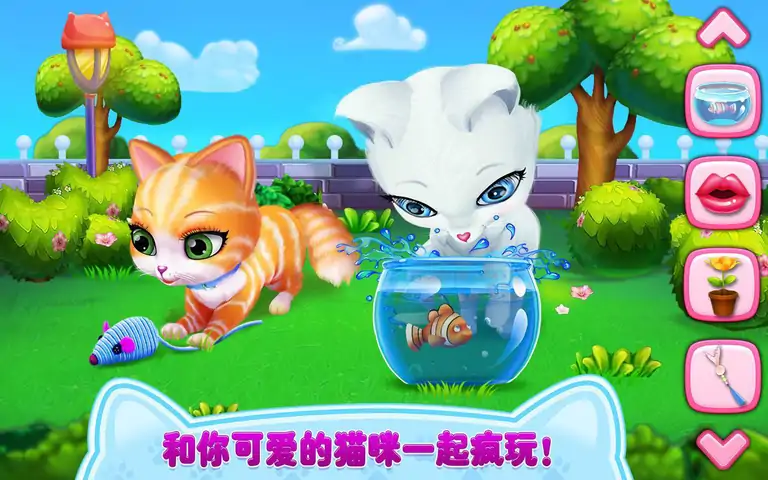 猫咪之恋——我毛茸茸的朋友